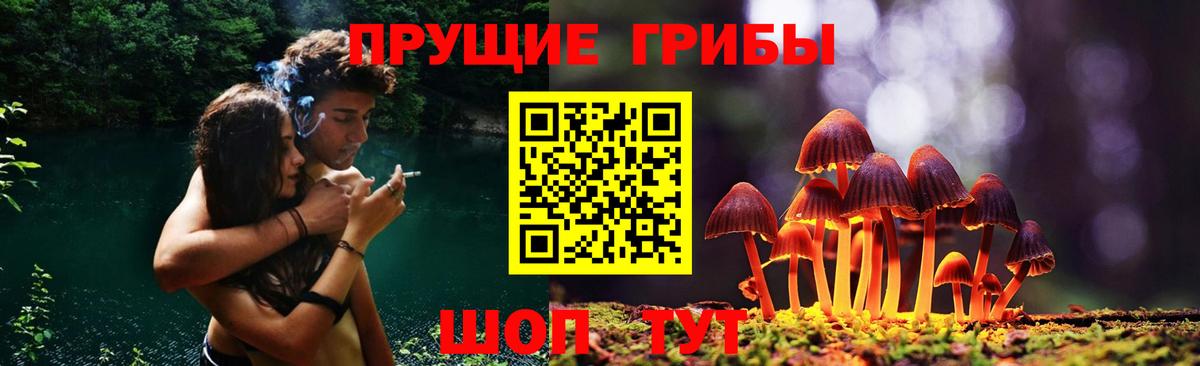 Чапаевск  Галлюциногенные грибы Cubensis  Вход с VPN 